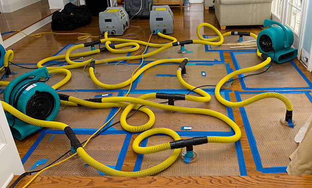 Professional Water Damage Repair technician working in North Providence, RI